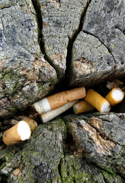 Sensibilisation sur la pollution des mégots de cigarette